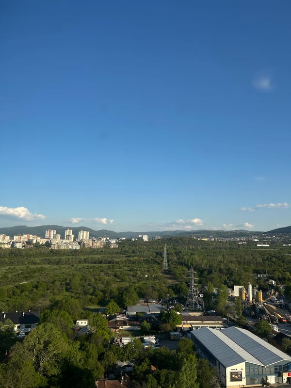 Aerial view captures urban-forest boundary in Sofia