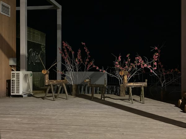 Quiet evening moments with cat documented in Chaikovsky, Russia