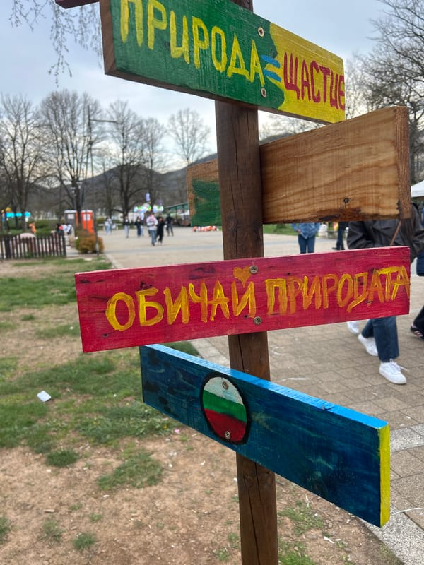 Painted wooden directional signpost documented in Botevgrad park