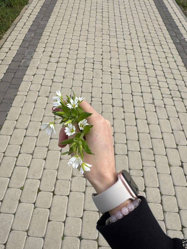 Spring day moments captured in Kurganinsk, Russia