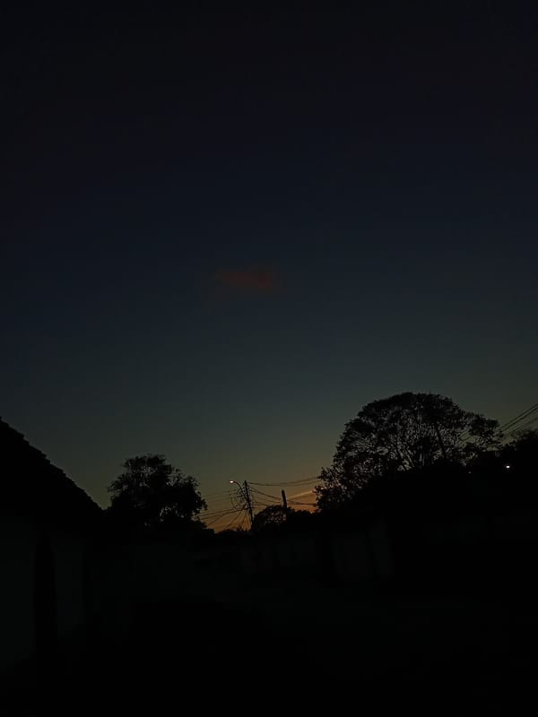 Twilight scenes documented across Juan Griego neighborhoods