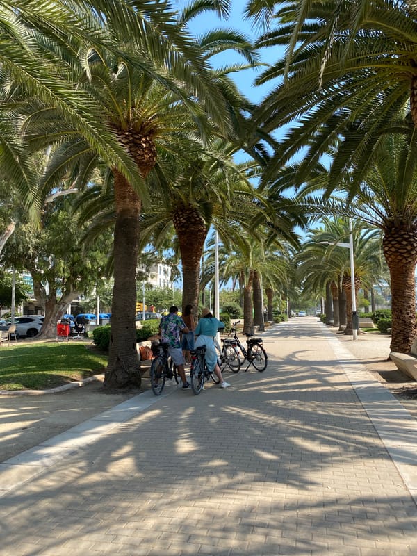 Valencia neighborhood streets on a bright July afternoon