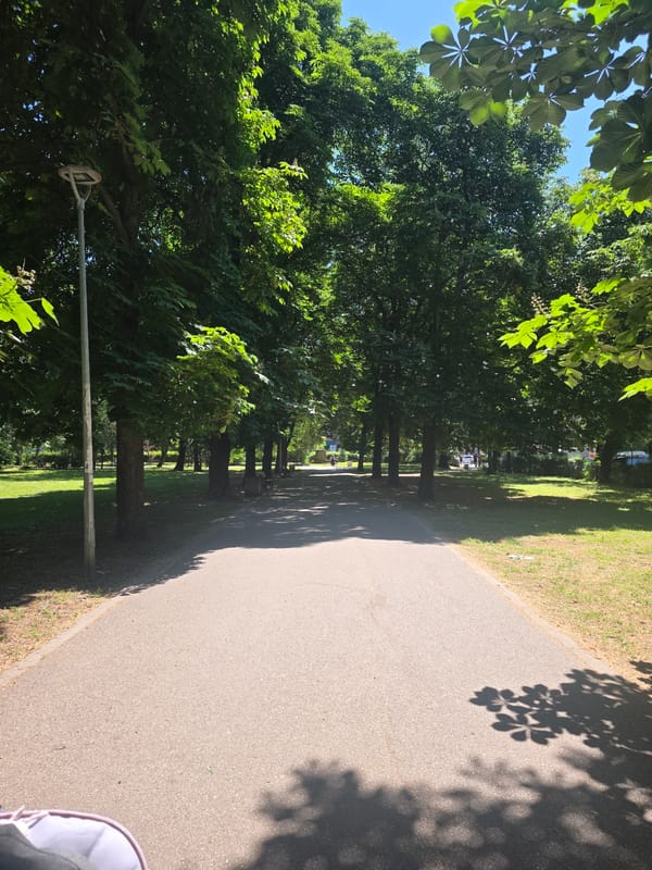 Balloon archway installation spotted in Sofia park pathway