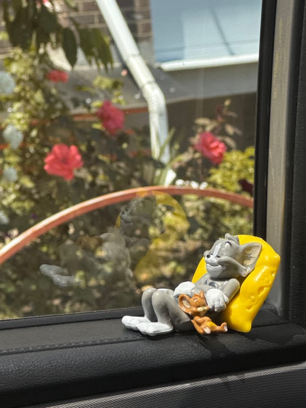 Construction cranes, rooftop birds, and Tom & Jerry in Mikhaylovsk