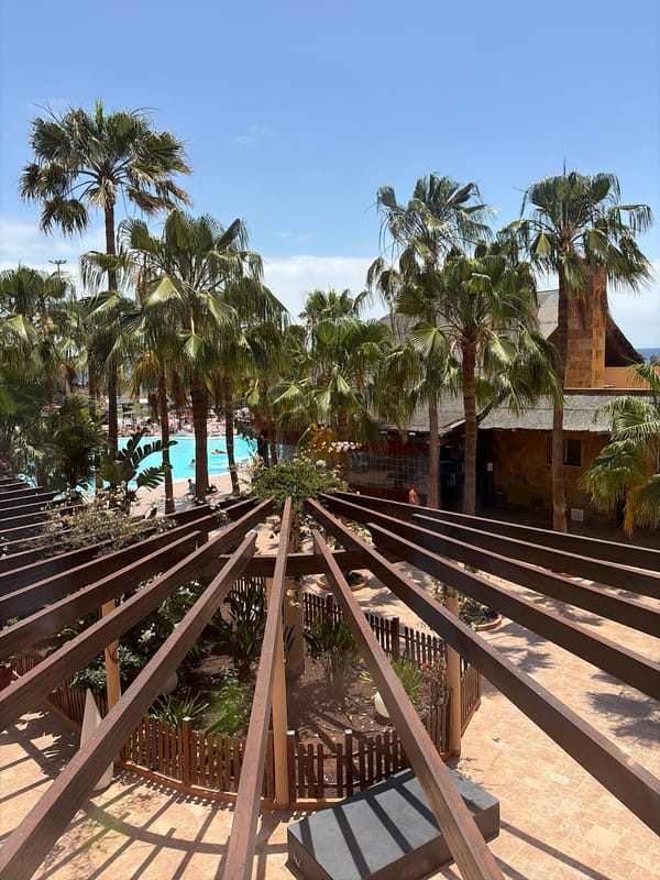 Poolside leisure activities documented in Antigua, Spain