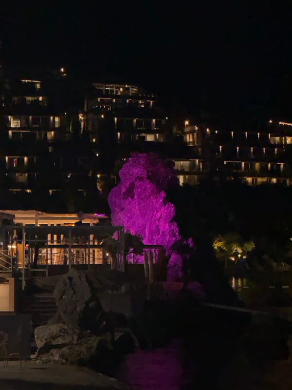 Budva after dark: lit coastline, quiet streets, and street cats