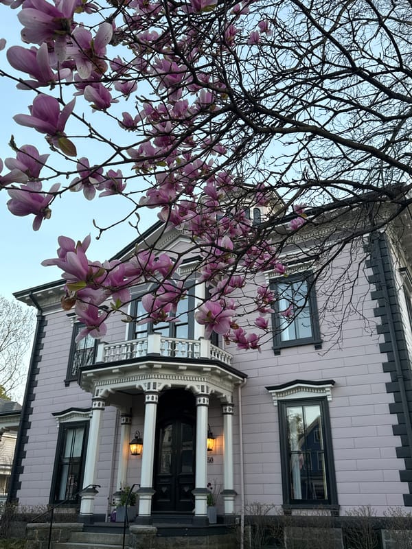 Spring blooms frame Boston house under clear evening sky