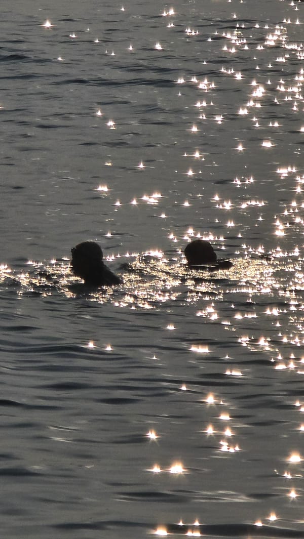 Ordinary evening moments documented across Vietnamese city in eight minutes