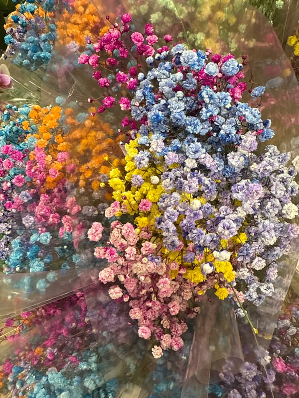 Colorful spring flower display captured at Hollywood retail store