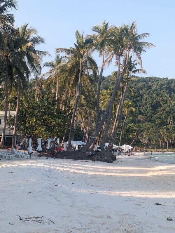 Morning beach scenes documented across Phú Quốc Island Vietnam