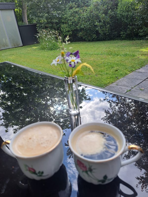 Garden coffee break with potted flowers and patio plants