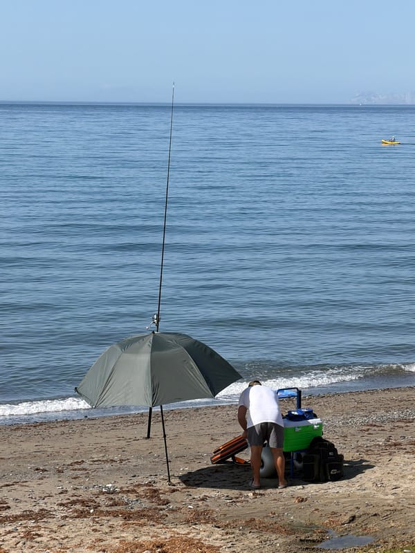 Quiet summer morning along Estepona's beachfront promenade