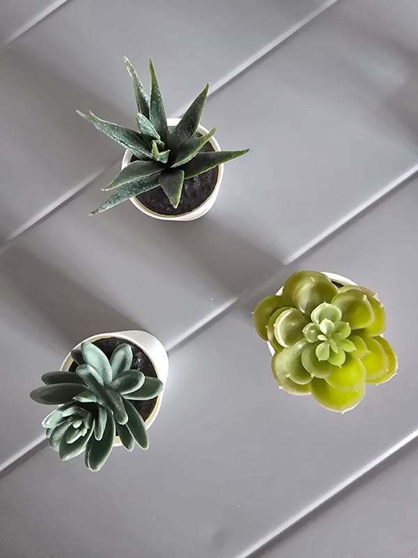 Quiet Morning Domestic Moments Captured in Ukrainian Suburb