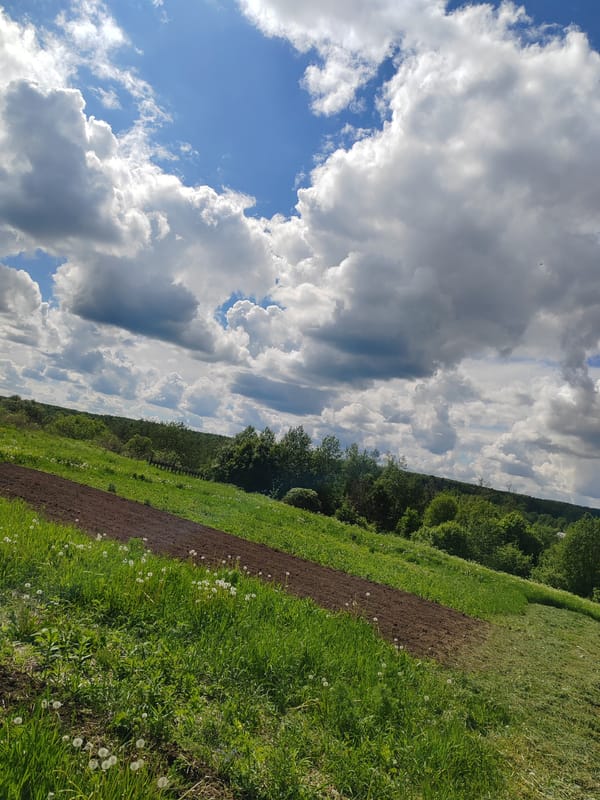 Spring countryside scenes documented in rural Russia