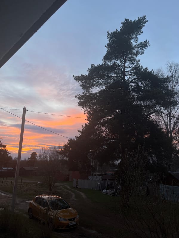 Rural Russian village moments captured during evening hours