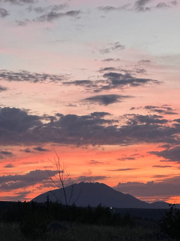 Evening cooking and dog encounters documented in Podgorica