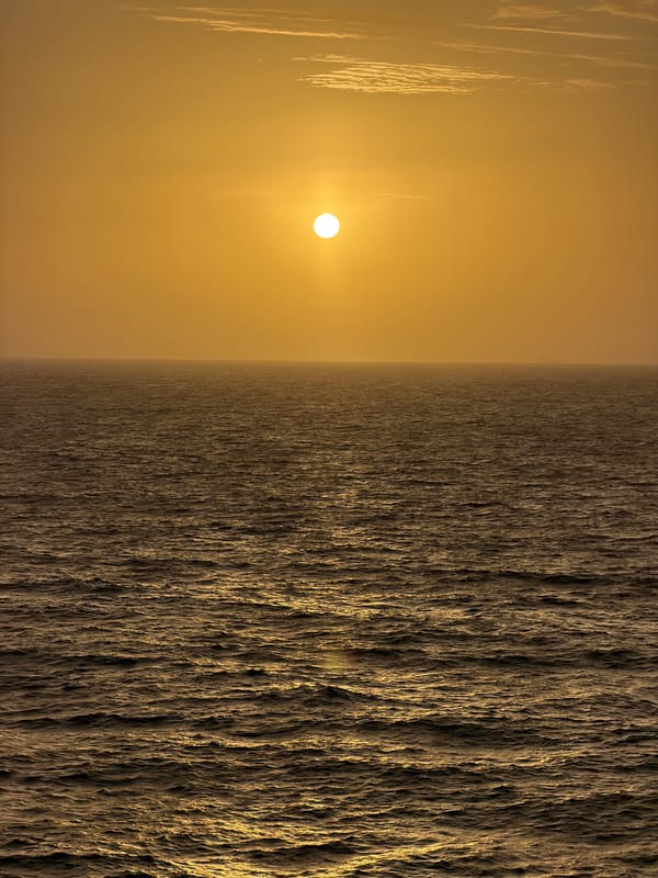 Gulf sunset with bird silhouette captured by witnesses
