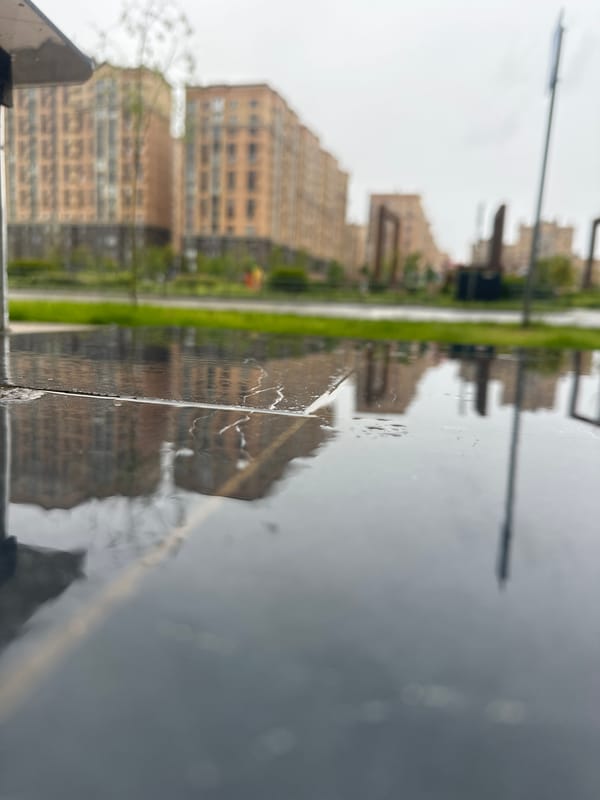 Wet morning reflections captured in Stavropol apartment district