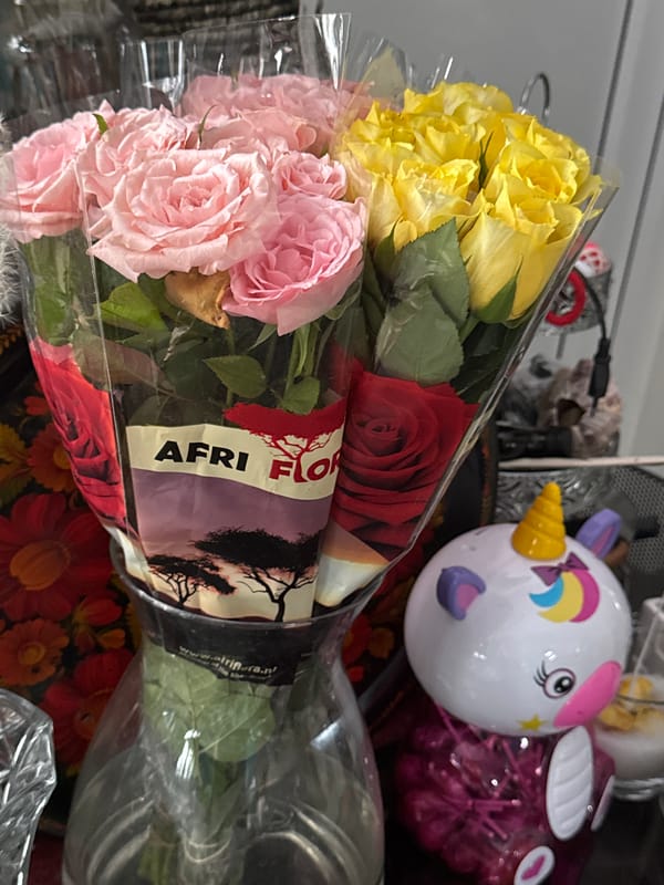 Pets, flowers, and home decor in a Hallum interior