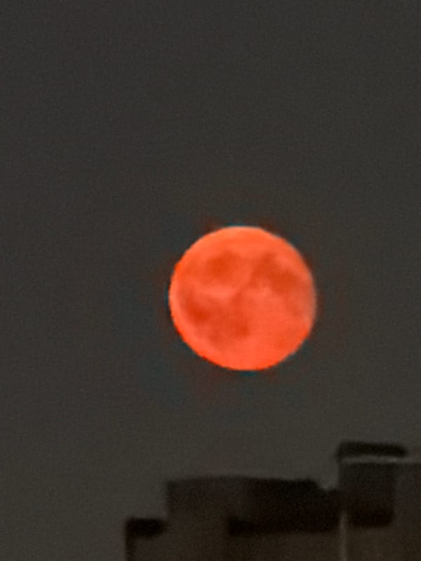 Blood moon rises over a city skyline at night
