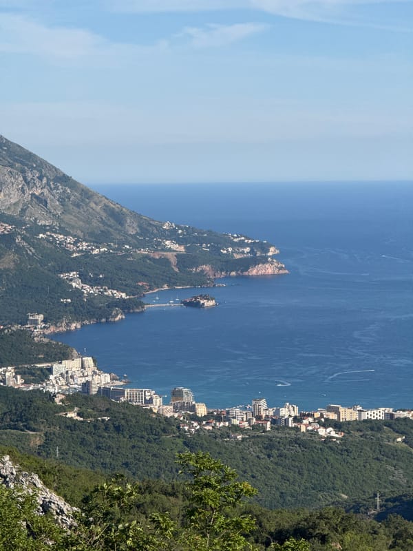 Coastal hillside city seen from above, ocean and red rooftops