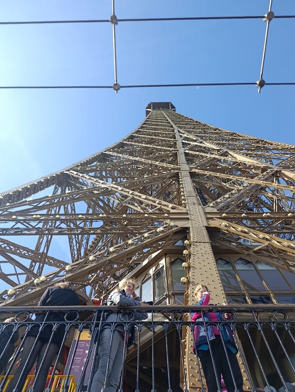 Tourists document morning views from Eiffel Tower glass floor