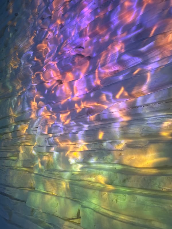 Musical performances, botanical close-ups, light displays documented by witnesses