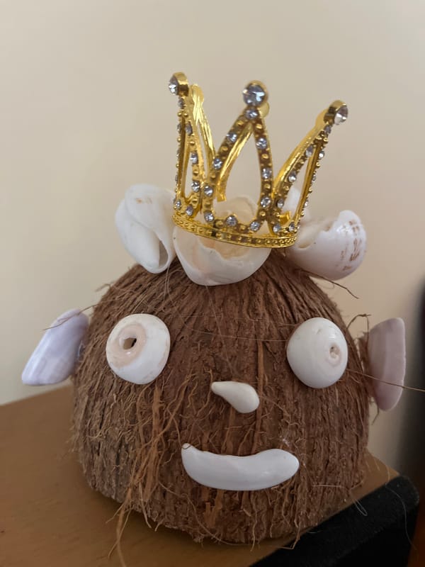 Crowned coconut decoration spotted at Turkish workspace scene