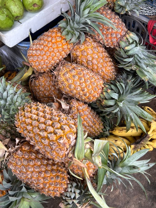 Fruit stall displays tropical produce in Ahangama