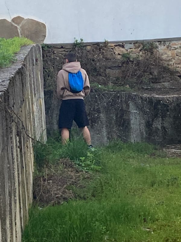 Person found lying on ground in Troyan, Bulgaria
