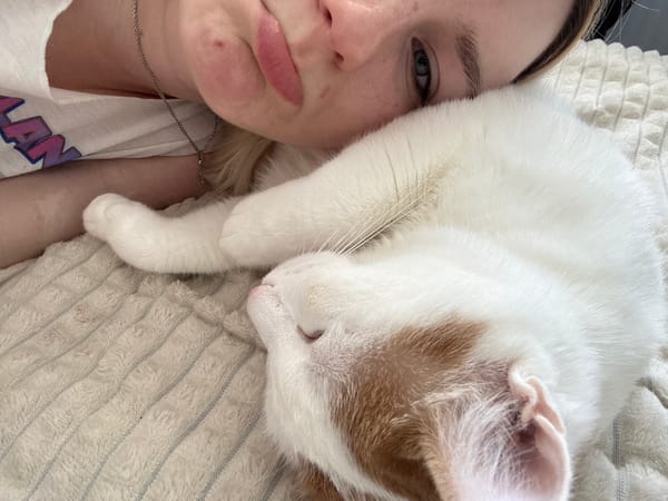 Person naps with cats in Vsevolozhsk bedroom scene