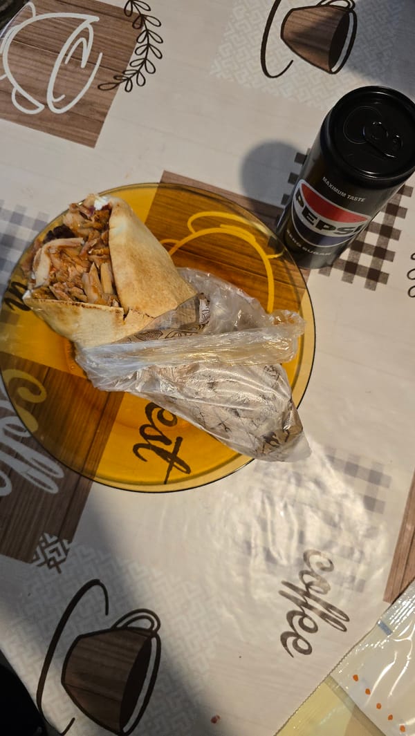 Shawarma lunch, pets at rest, and a flower-dusted parked car
