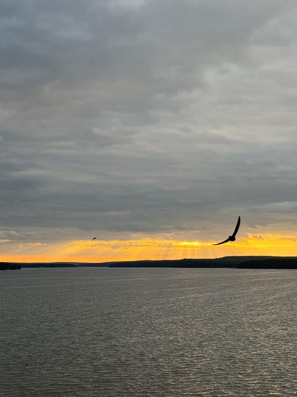 Dramatic sunset captured over Votkinsk Reservoir, Russia with birds
