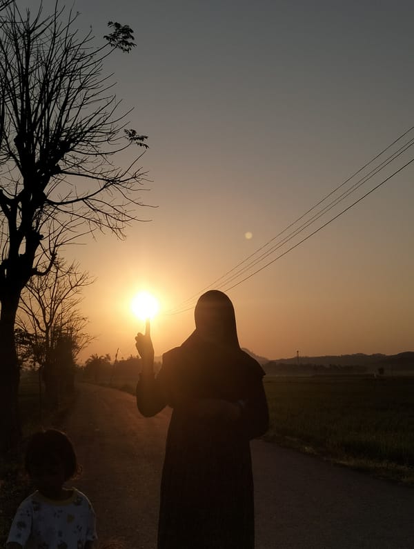 Dawn scenes captured in Indonesian rice farming village