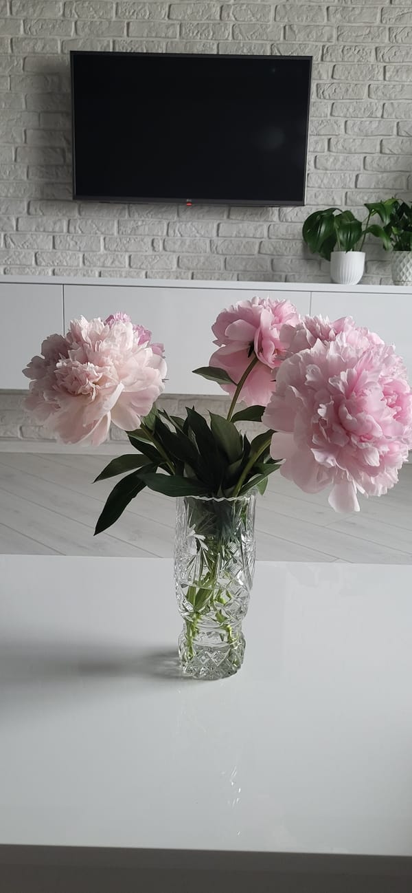 Cozy Minsk interior with peonies and wall-mounted TV