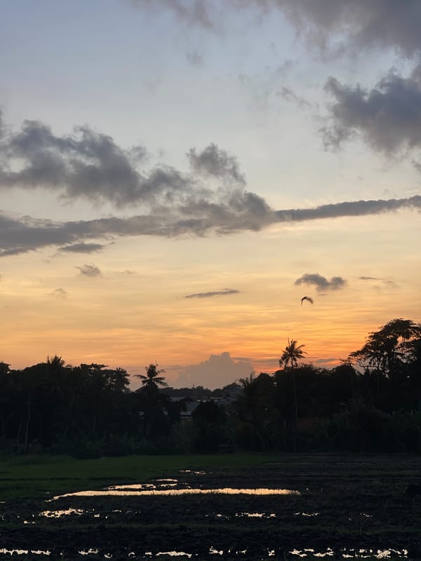 Motorcyclist documents sunset ride through Mengwi rice paddies