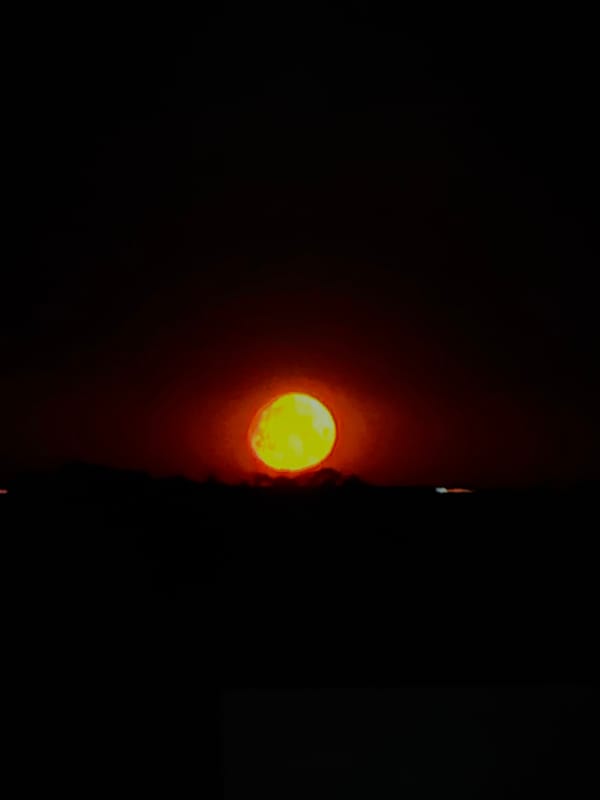 Sunsets, wildlife, and landscapes across a two-hour evening window