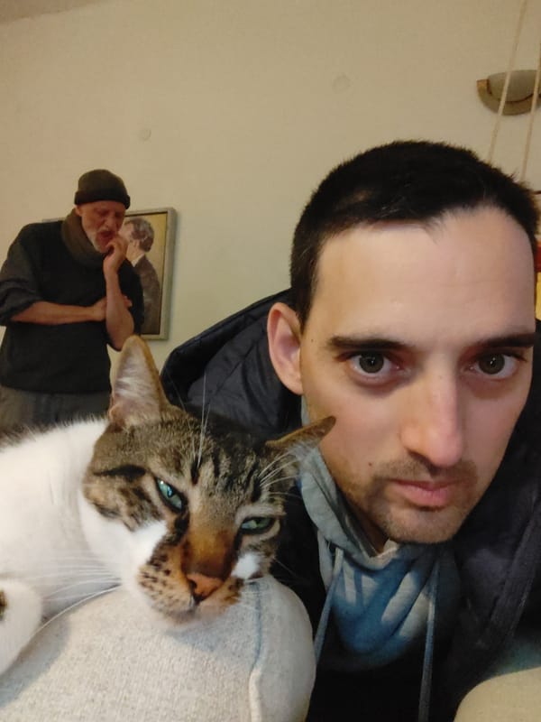 Tel Aviv resident photographs cat in casual afternoon moments