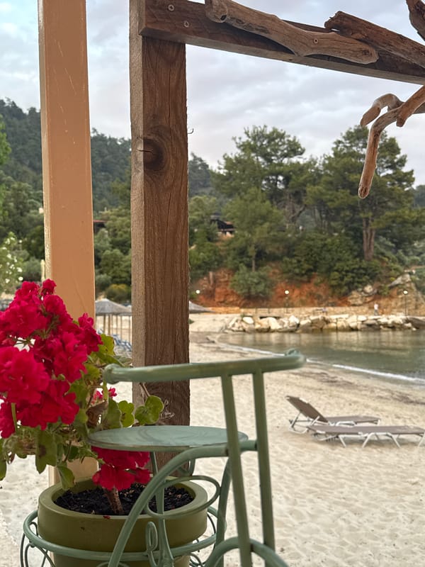 Evening beachfront dining experience documented at unknown coastal location
