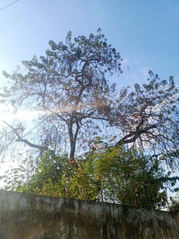 Street scenes documented in Caño de Indio, Venezuela
