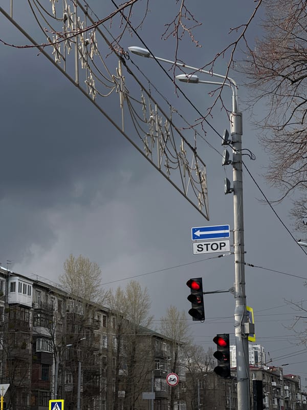 Daily street life documented in Kharkiv during afternoon hours