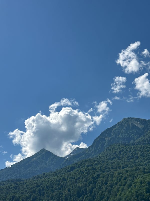 Forested mountain slope meets blue sky in Krasnaya Polyana