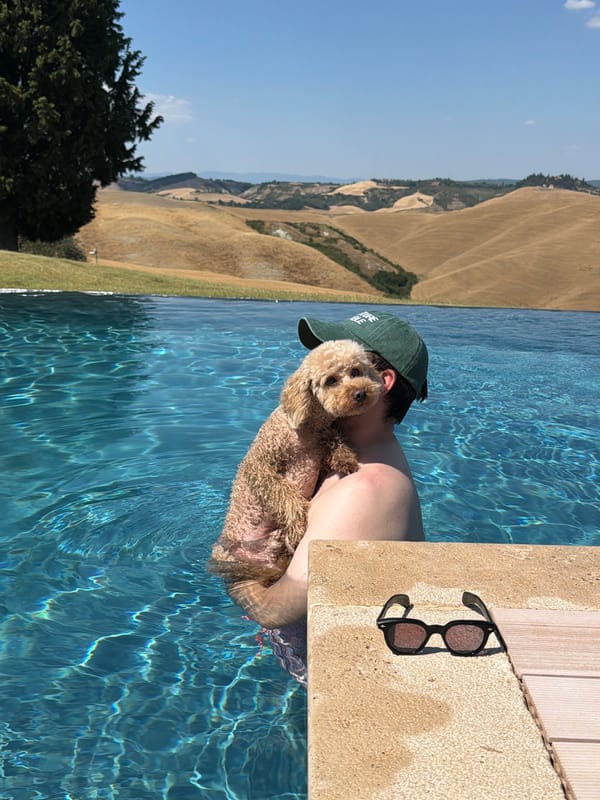 Infinity pool day in the Tuscan hills, dog and champagne included.