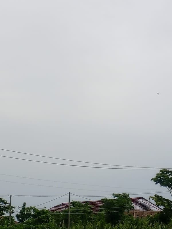 Cloudy afternoon over a leafy residential area in Ife, Nigeria