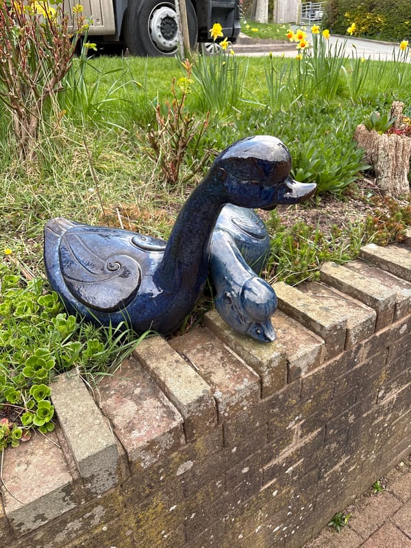 Garden ornaments and decorations spotted around Shrewsbury homes