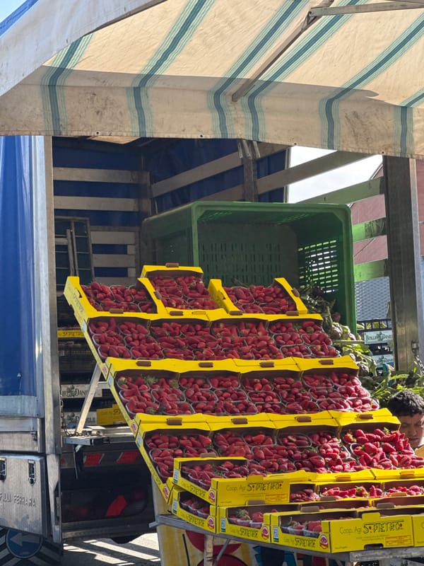 Morning street activity captured in Nettuno, Italy