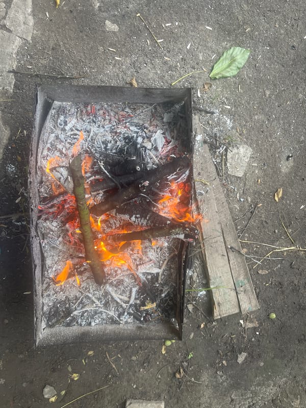 Outdoor barbecue preparation documented in rural Ukrainian village