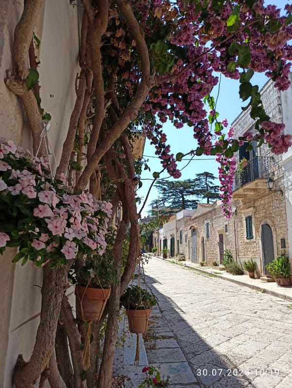 Quiet cobblestone alley in Terlizzi, bougainvillea, parked Fiats, resting cat