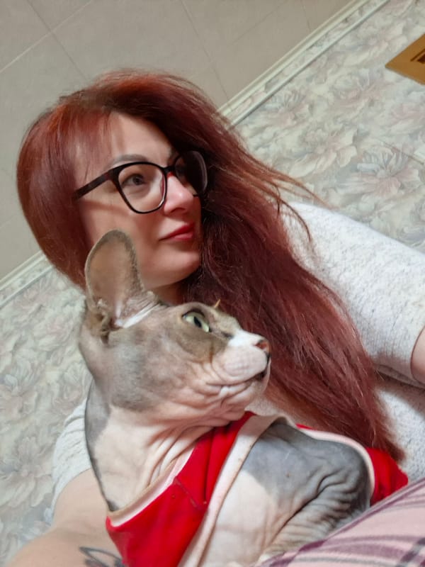 Morning at home with cats, candy and coffee mugs