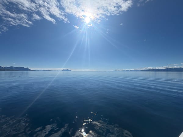 Calm blue sea under bright summer sun in northern Norway